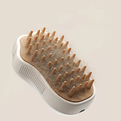 3 in 1 Cat Steam Brush 