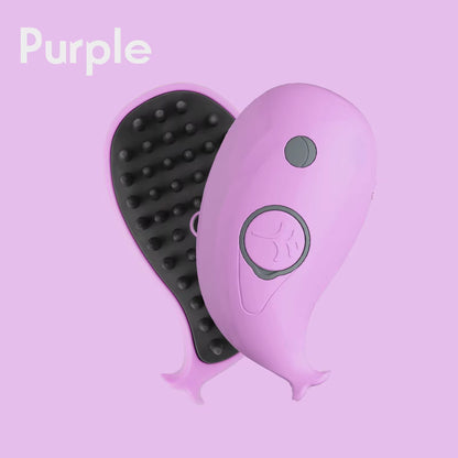 3 in 1 Cat Steam Brush 